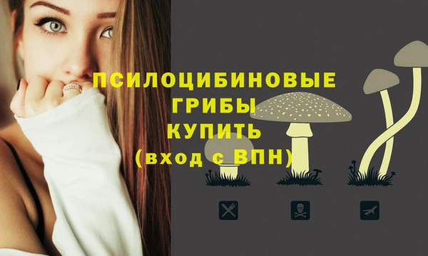 марки lsd Осинники
