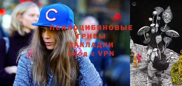 первитин Осташков