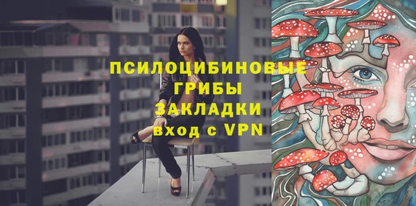 дурь Шарыпово