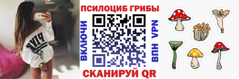 продажа наркотиков  Волоколамск  Галлюциногенные грибы MAGIC MUSHROOMS 
