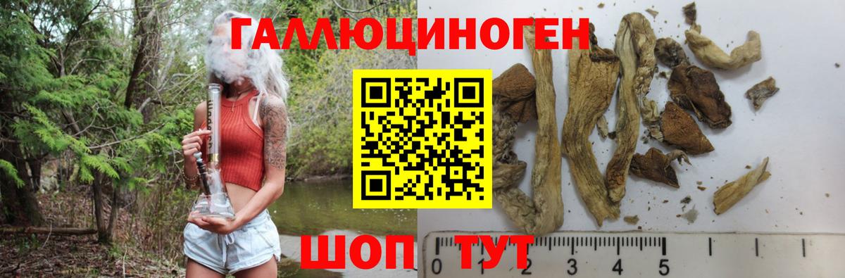 Галлюциногенные грибы мухоморы  Вход с VPN  Волоколамск 