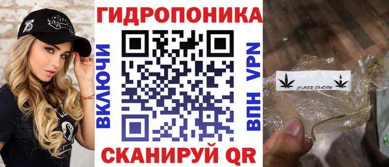 где купить наркоту  Волоколамск  ОМГ ОМГ ссылка  Бошки марихуана ГИДРОПОН 